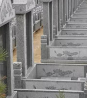 梧州祖坟墓地出现这种现象，大事不妙，千万要注意了！
